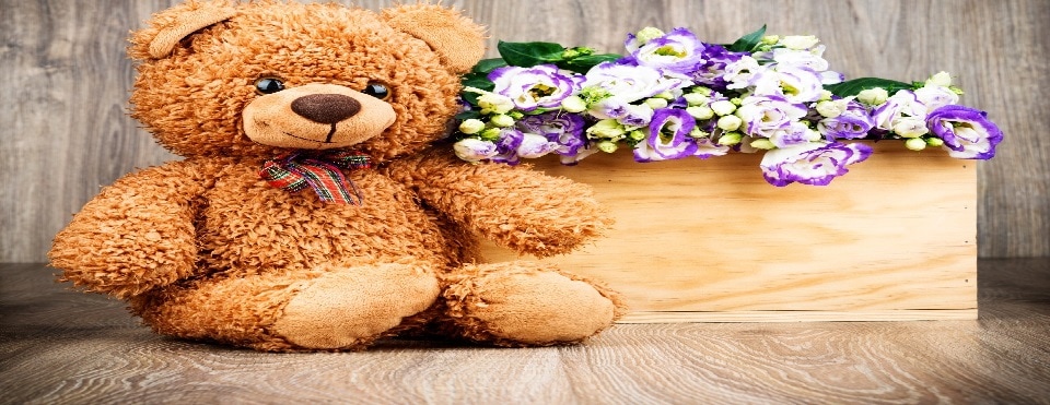 Bearington and Hansa Collection